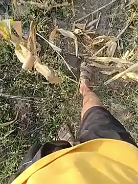 Piyush 2024 online show from 03.23.26