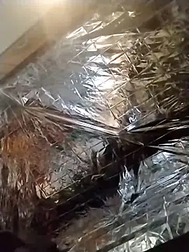 axelongshaft69 online show from 12.19.24