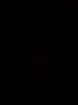 Snapshot of Gujrat_player chatting on 12.28.24 Gujrat player online show from 12.28.24