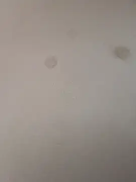 geilerschwanz64 online show from 01.09.25