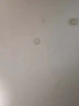 geilerschwanz64 online show from 01.10.25