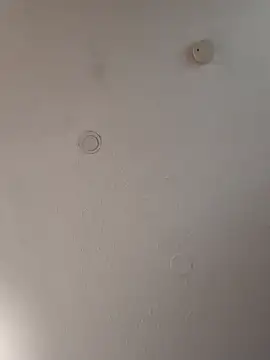 geilerschwanz64 online show from 01.18.25