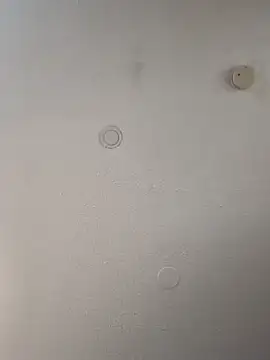 geilerschwanz64 online show from 02.21.25