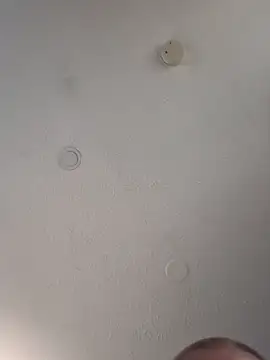 geilerschwanz64 online show from 03.14.25