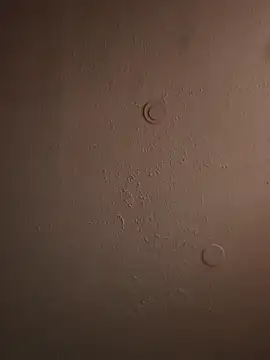 geilerschwanz64 online show from 03.20.25