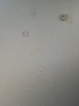 geilerschwanz64 online show from 03.20.25