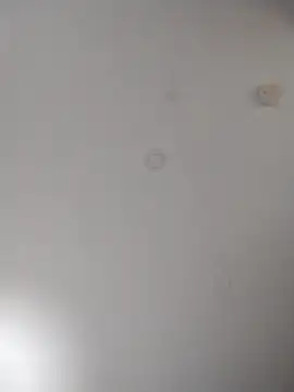 geilerschwanz64 online show from 10.10.25