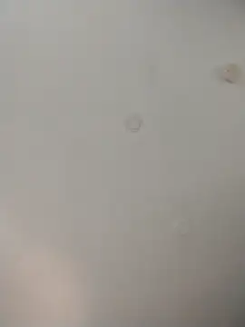 geilerschwanz64 online show from 11.26.25