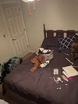 torilux online show from 02.08.25