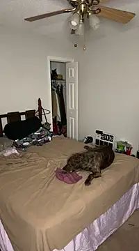 torilux online show from 02.25.25