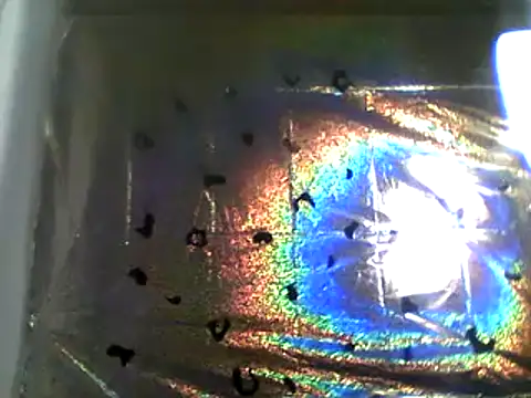 Snapshot of camiliaskye chatting on 12.13.24 camiliaskye online show from 12.13.24