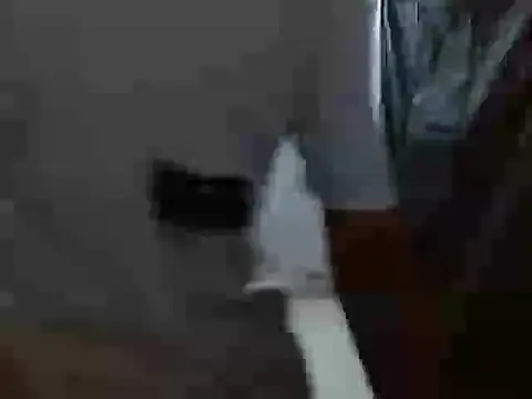 Snapshot of latino_hotxxx chatting on 10.20.25 latino hotxxx online show from 10.20.25