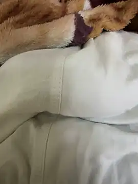 hamed-697 online show from 12.04.24