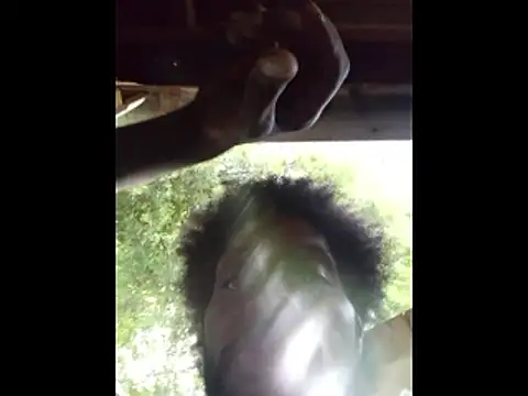 Snapshot of DevinToore chatting on 04.05.26 DevinToore online show from 04.05.26