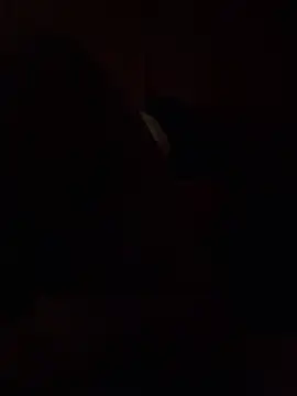 Dikkiduohottt online show from 12.21.24