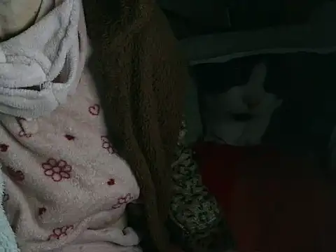 VeneRed online show from 03.16.26