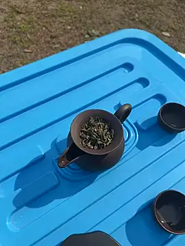 CN-Shanshan online show from 02.01.26