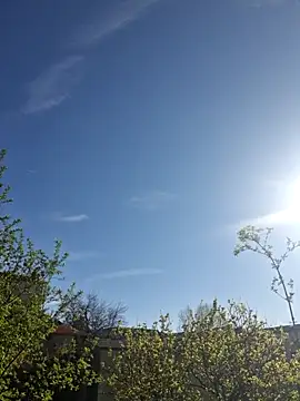 Snapshot of CeriseLapine chatting on 03.28.26 CeriseLapine online show from 03.28.26