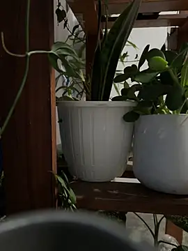 Snapshot of alburt_1996 chatting on 12.30.24 alburt 1996 online show from 12.30.24