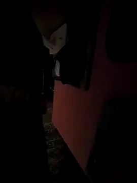 pumapatri online show from 03.11.26