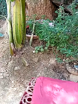 Snapshot of tayson_ chatting on 01.11.25 tayson online show from 01.11.25