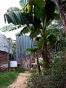 Snapshot of tayson_ chatting on 03.14.25 tayson online show from 03.14.25