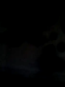 Leocesar37 online show from 06.21.26