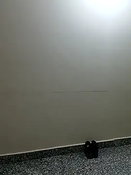 Saroj-Shah online show from 04.02.26