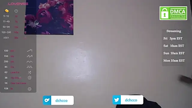 Snapshot of dchcco chatting on 11.07.25 dchcco online show from 11.07.25