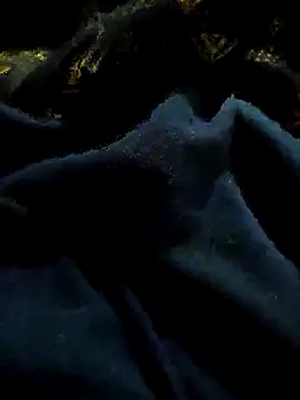 Snapshot of pusssyhub chatting on 11.29.25 pusssyhub online show from 11.29.25