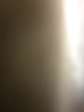 dosynophia2 online show from 12.17.25