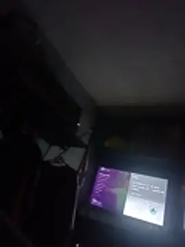 Snapshot of Palanquita4 chatting on 11.22.25 Palanquita4 online show from 11.22.25