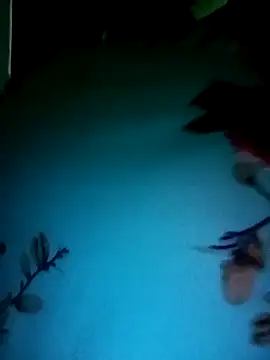 gunjan22 online show from 12.31.24