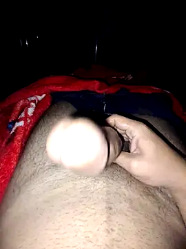 Snapshot of nidansohib1230 chatting on 11.04.25 nidansohib1230 online show from 11.04.25