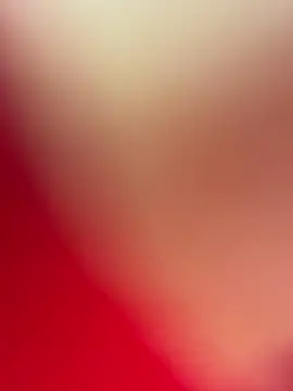 EmySofia online show from 02.15.26