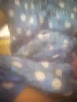 jessi telugu online show from 12.05.24