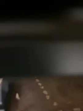 evoscenteno online show from 12.30.24