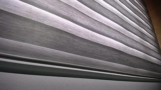 palmer mIix online show from 12.23.24