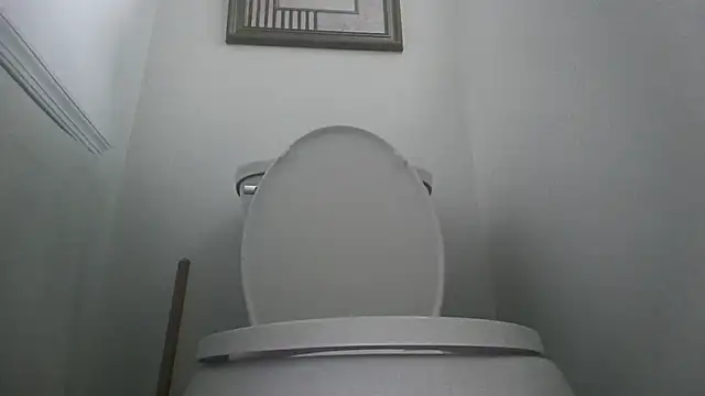 you like my chocolate101 online show from 10.11.25