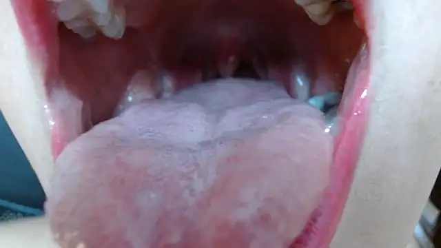 miss evoleth2 online show from 03.12.26