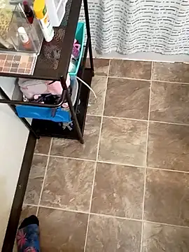 StellerCock online show from 02.05.26