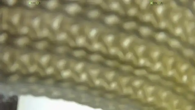 Alysta online show from 10.30.25