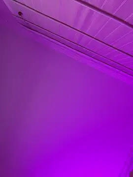 aurora divine online show from 02.15.26