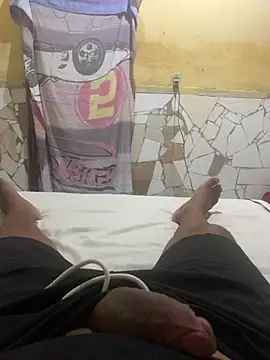 GordoSafadinho online show from 02.08.25