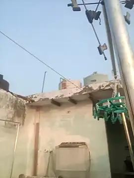 Snapshot of sailord chatting on 01.29.25 sailord online show from 01.29.25