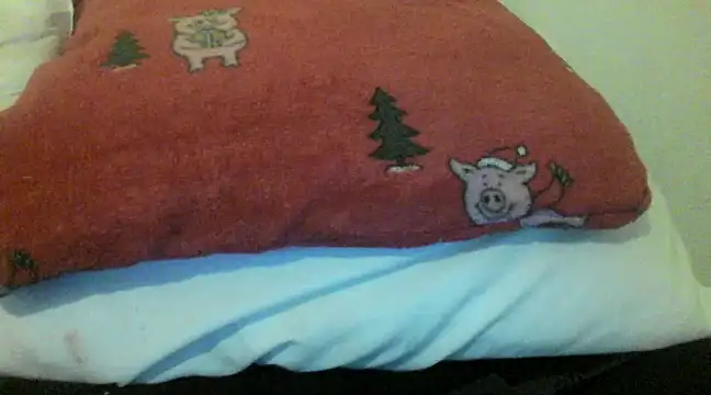 bunnyamy online show from 12.05.24