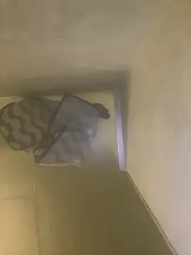 Snapshot of Tommy_y_Pamela chatting on 02.17.26 Tommy y Pamela online show from 02.17.26