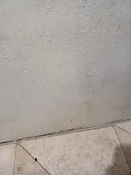 lemon69Reo online show from 02.08.26