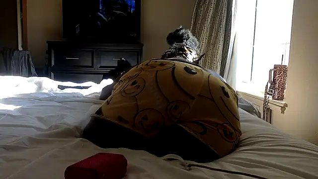 Cocabugattibad online show from 03.02.25