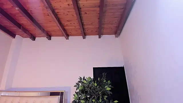 im sebaslopez online show from 01.17.26